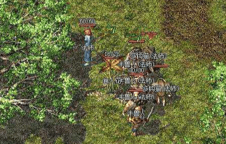 新手法师必读：宝宝选择全解析