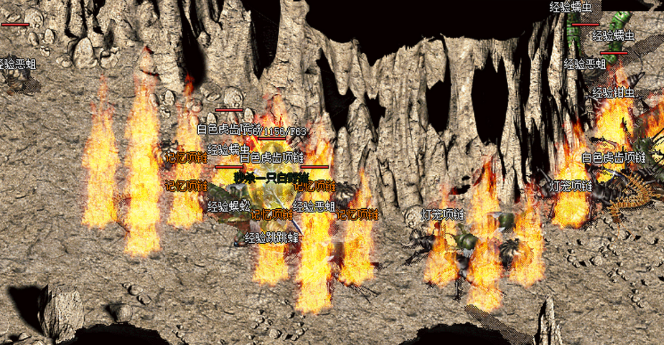 隐藏在角落的“性价比之王”